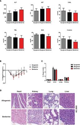 Berberine Prolongs Mouse Heart Allograft Survival by Activating T Cell Apoptosis via the Mitochondrial Pathway